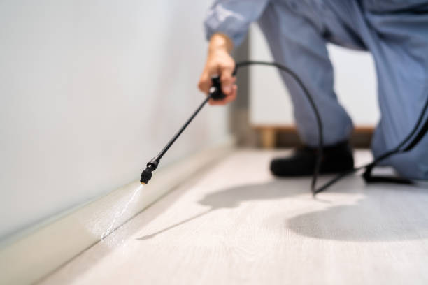 Licensed Termite Control service in Pinconning, MI - Show Me Pest Control