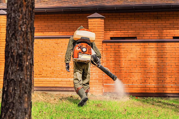 Top rated local Mosquito Control specialists in Pinconning, MI